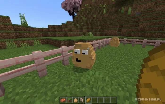 Pou — Minecraft mod, rasm 2