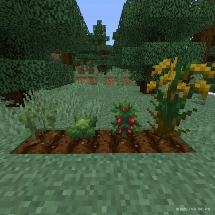 Oziq-ovqat yangilanishi — Minecraft mod, rasm 1
