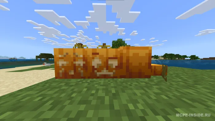 Oddiy qovoq to'plami — Minecraft mod, rasm 1