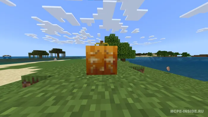 Oddiy qovoq to'plami — Minecraft mod, rasm 2