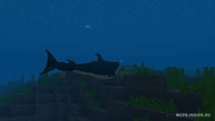 Mega akulalar — Minecraft mod, rasm 2