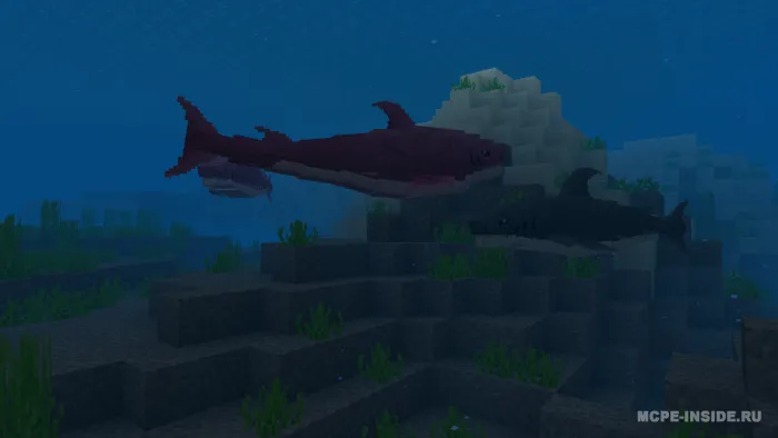 Mega akulalar — Minecraft mod, rasm 3