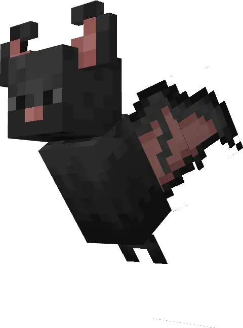 Ko'rshapalak +