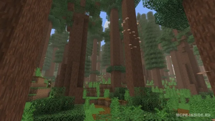 Keng biomlar — Minecraft mod, rasm 2