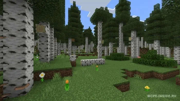 Keng biomlar — Minecraft mod, rasm 3