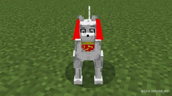 Kripto: Super Uy hayvoni — Minecraft mod, rasm 1