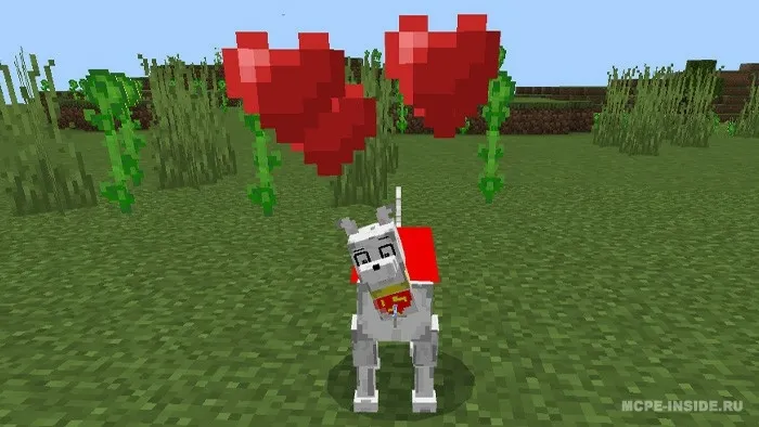 Kripto: Super Uy hayvoni — Minecraft mod, rasm 3