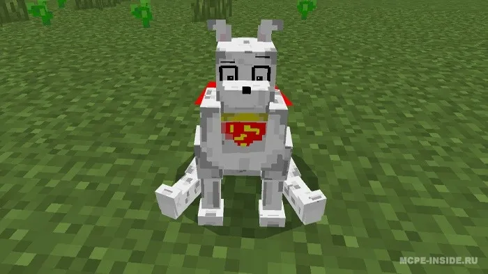 Kripto: Super Uy hayvoni — Minecraft mod, rasm 4