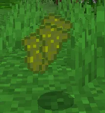 Xameleon — Minecraft mod, rasm 3