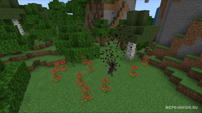 Eng yaxshi animatsiyalar — Minecraft mod, rasm 1