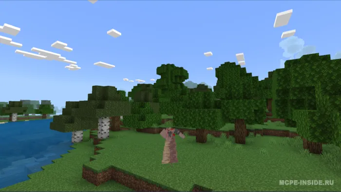 Eng yaxshi animatsiyalar — Minecraft mod, rasm 3