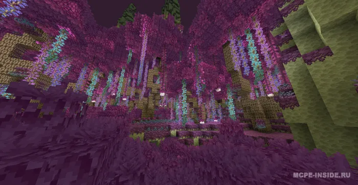 Yaxshilangan End — Minecraft mod, rasm 4