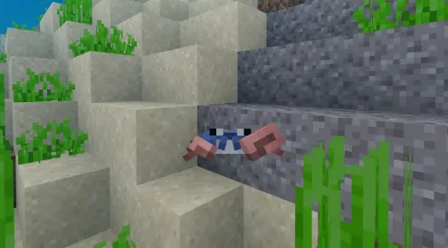 Qisqichbaqa — Minecraft mod, rasm 2