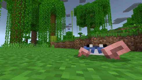 Qisqichbaqa — Minecraft mod, rasm 4