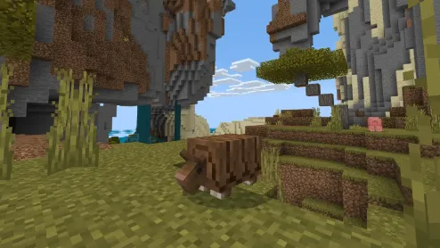 Armadillo — Minecraft mod, rasm 2