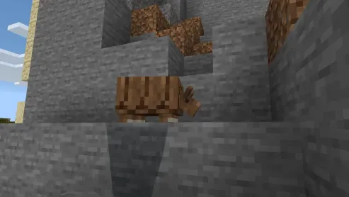 Armadillo — Minecraft mod, rasm 3