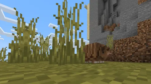 Armadillo — Minecraft mod, rasm 4
