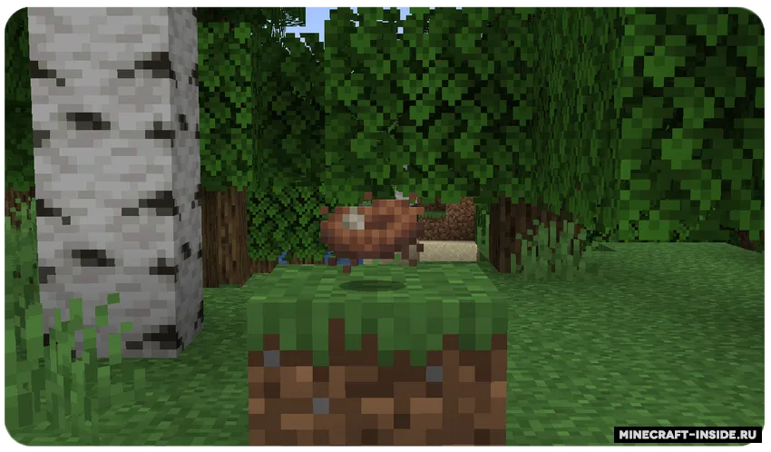 Bird Nests — Minecraft mod, rasm 2