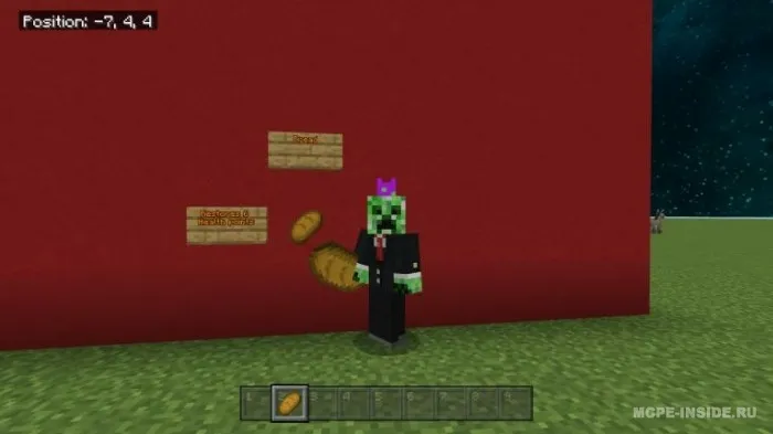 Java to'yinish — Minecraft mod, rasm 1