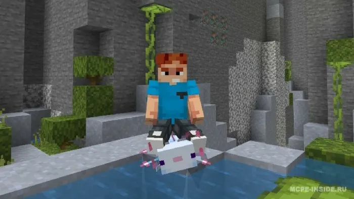 Barcha moblarni egarlash — Minecraft mod, rasm 3