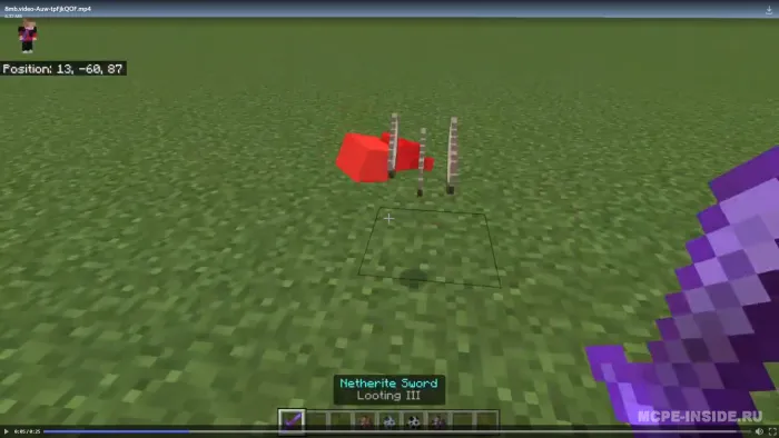 Qishloq va qaroqchilar — Minecraft mod, rasm 2