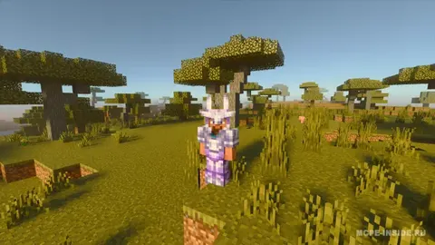 Amethyst plus