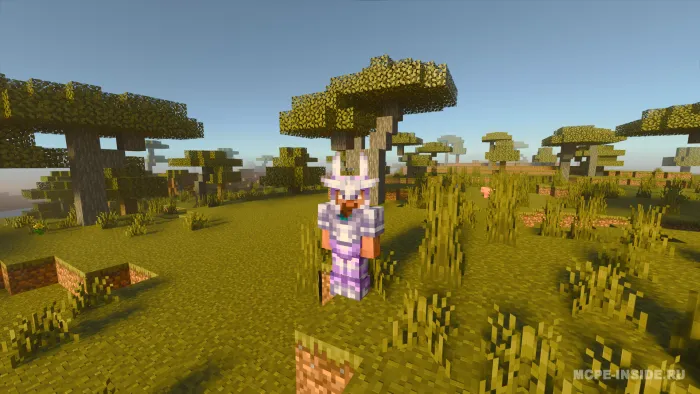 Amethyst plus — Minecraft mod, rasm 1