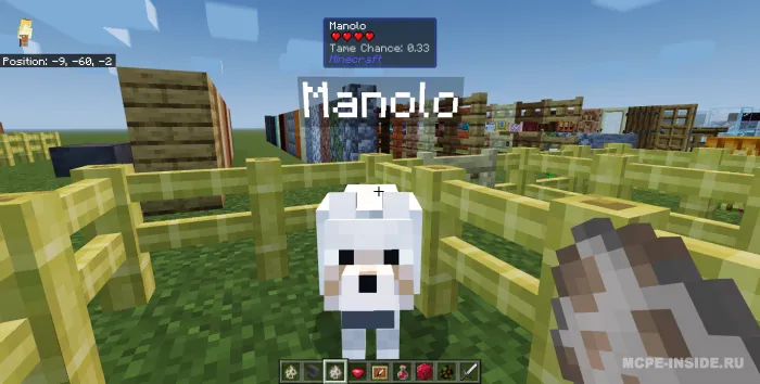 Men nima kuzatyapman? — Minecraft mod, rasm 3