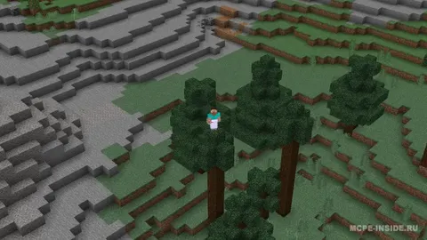 Izometrik Minecraft