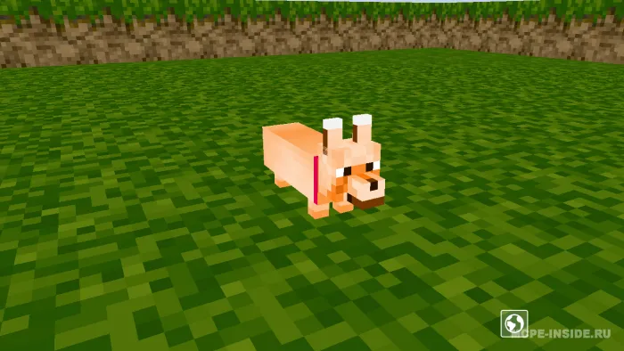 Korgi — Minecraft mod, rasm 1