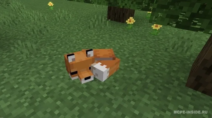 Tulki uy hayvoni — Minecraft mod, rasm 2