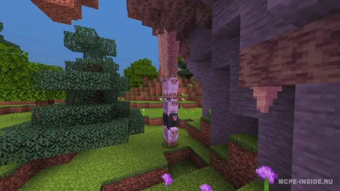 Xaos — Minecraft mod, rasm 2