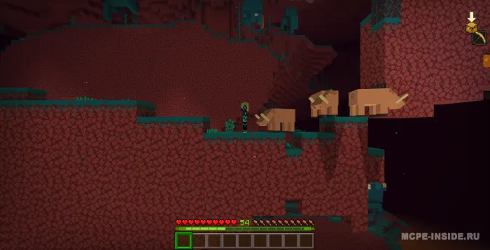 2D-craft — Minecraft mod, rasm 4