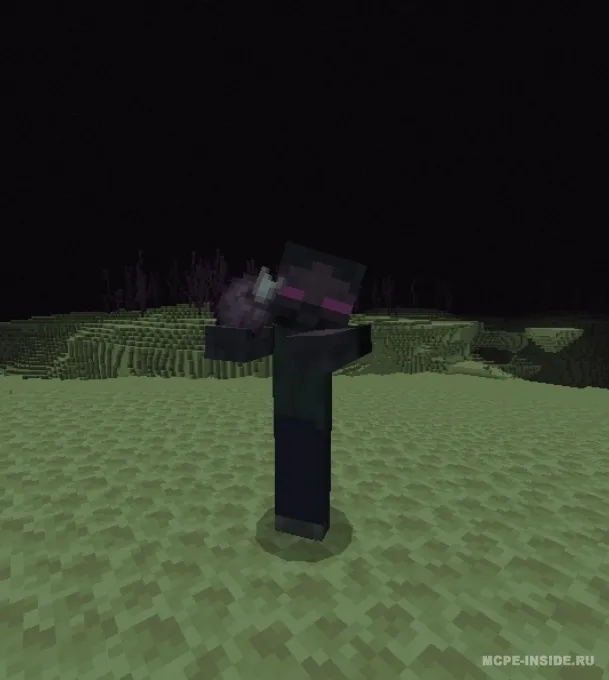 Shulk Zombies! — Minecraft mod, rasm 1