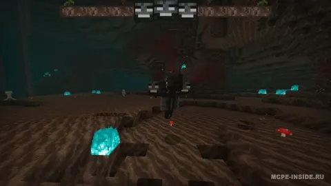 Yangi boss chiziqlari