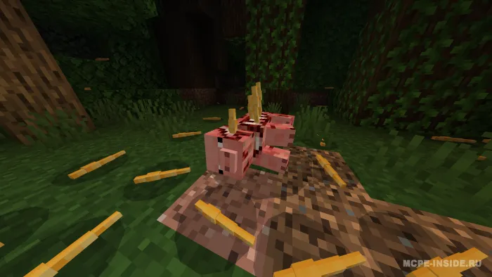 Tajriba 8 — Minecraft mod, rasm 1
