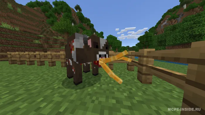 Tajriba 8 — Minecraft mod, rasm 4
