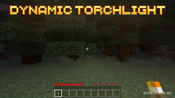 Mash'alaning dinamik nuri — Minecraft mod, rasm 1
