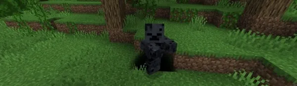 Qorong'ulik kengaytmasi — Minecraft mod, rasm 2