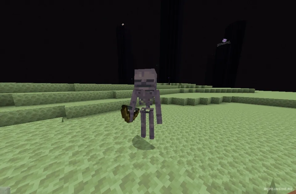 Shulk Skeletons! — Minecraft mod, rasm 1