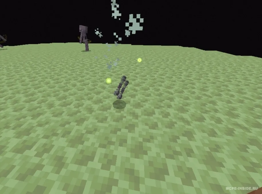 Shulk Skeletons! — Minecraft mod, rasm 2