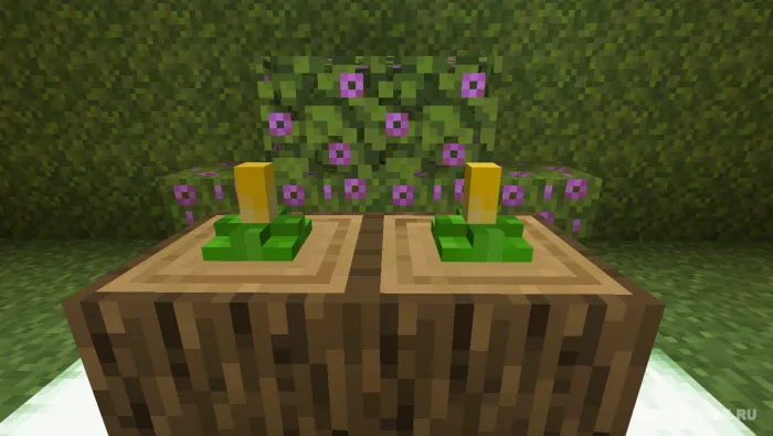 O'rmon bezaklari — Minecraft mod, rasm 4