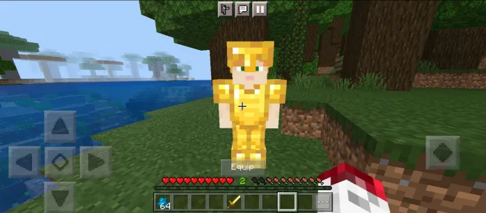 Mashq uchun manekenlar — Minecraft mod, rasm 2
