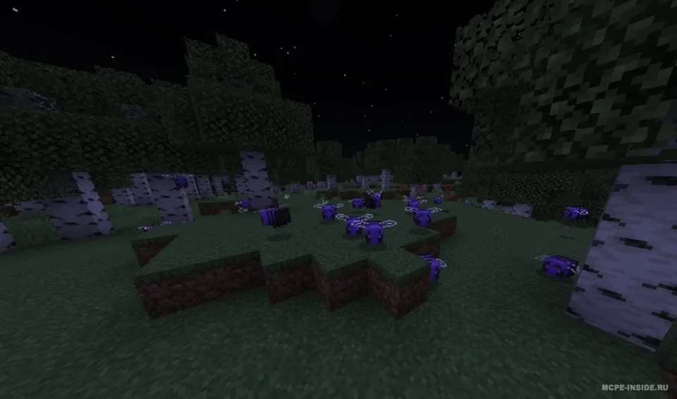 Void Bees! — Minecraft mod, rasm 1
