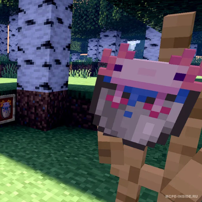 Yaxshilangan aksolotl chelaklari — Minecraft mod, rasm 4