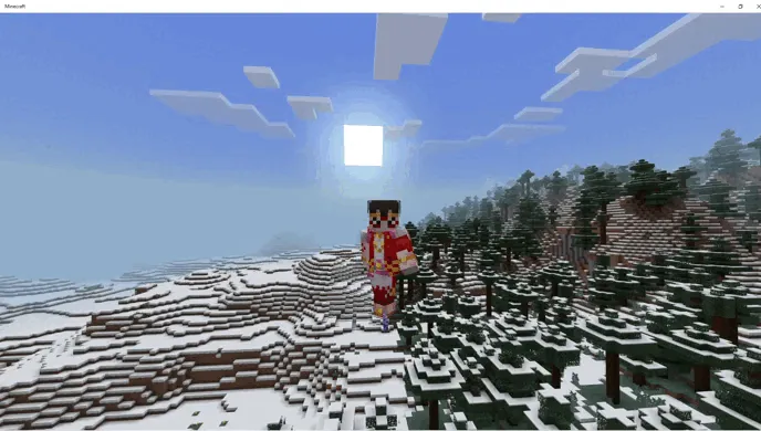 Uchuvchi supurgi — Minecraft mod, rasm 4