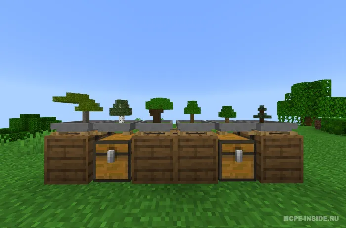 Bonsay — Minecraft mod, rasm 1