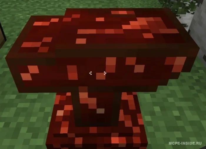 Do'zax zindoni — Minecraft mod, rasm 1