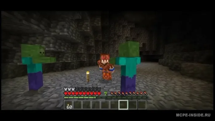 Chiriq go'shtdan yasalgan bronza — Minecraft mod, rasm 2