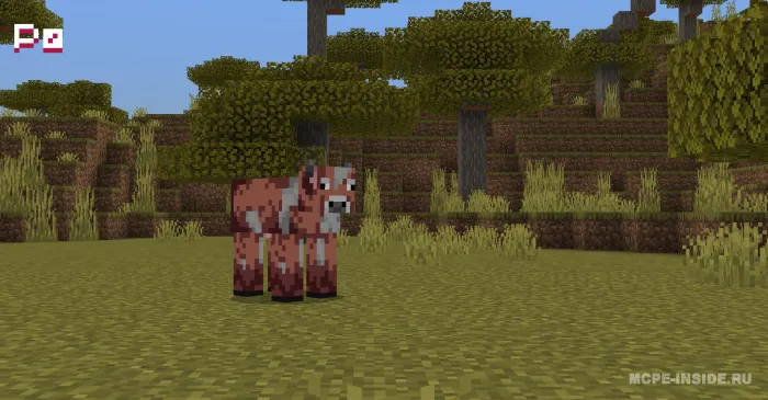 Rangli sigirlar — Minecraft mod, rasm 2